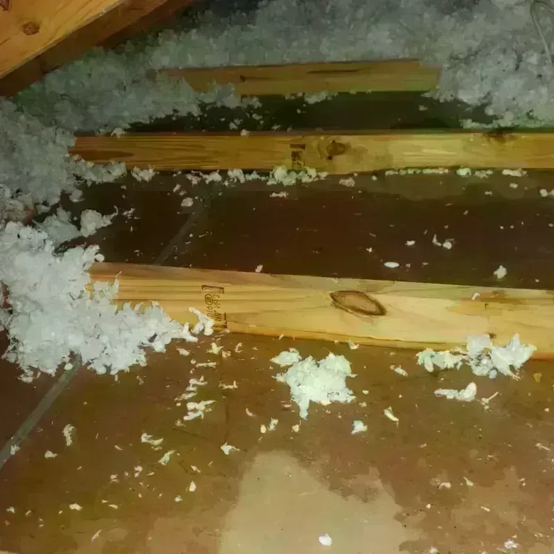 Attic Water Damage in Waynesville, MO